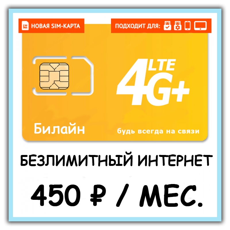 SIM-карта Билайн 450